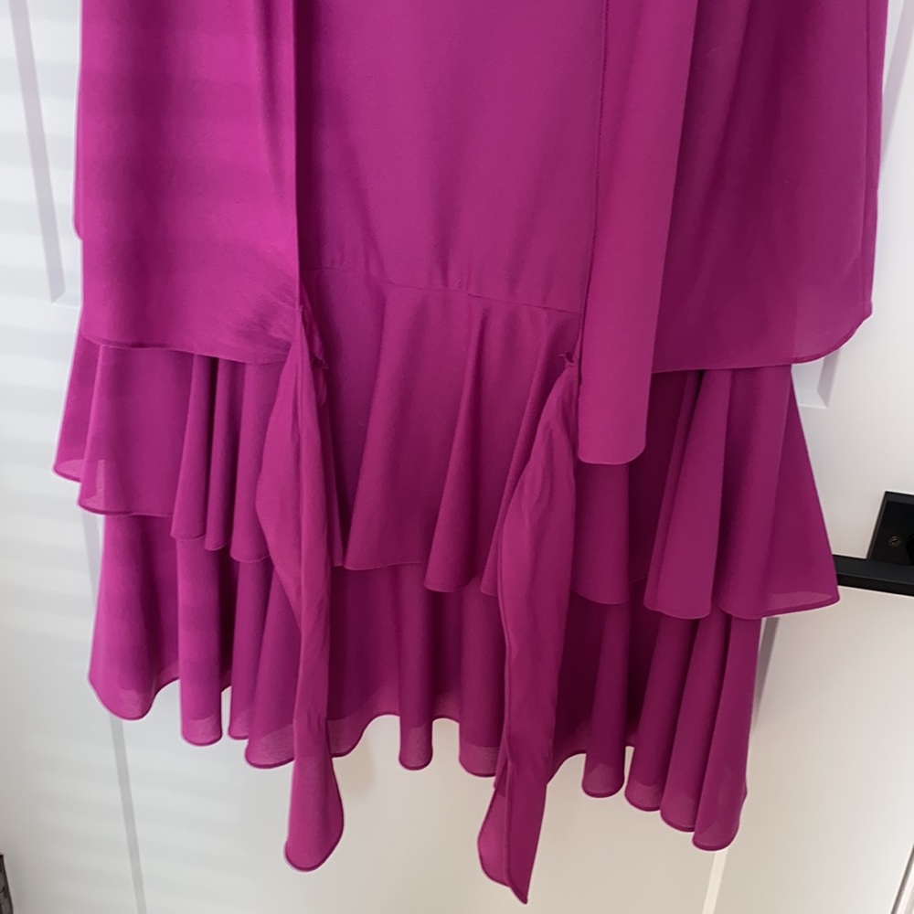 Vintage T Fe Magenta Drop Waist Dress - Picture 10 of 14